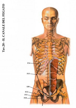 (immagini tratte da www.kyusho.it)